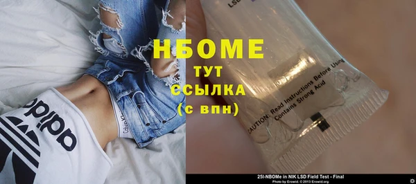 гашик Вязьма
