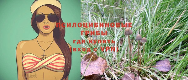 гашик Вязьма