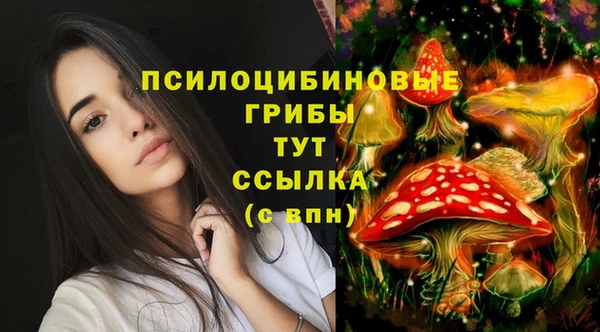 гашик Вязьма
