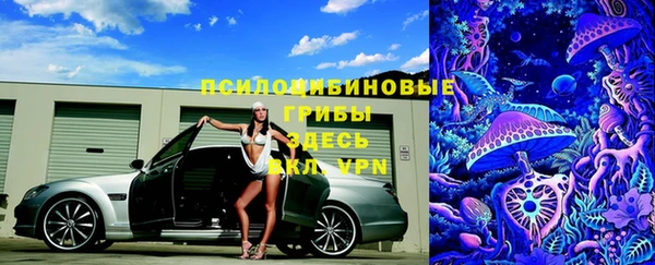 гашик Вязьма