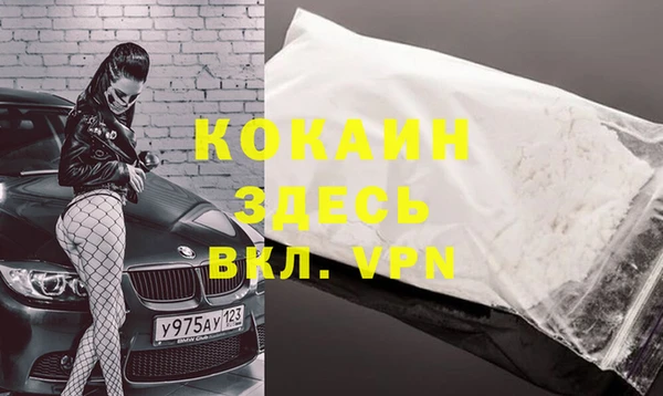 гашик Вязьма