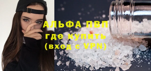 гашик Вязьма