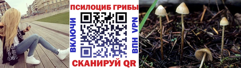 Псилоцибиновые грибы мицелий  Купить где  Покровск 